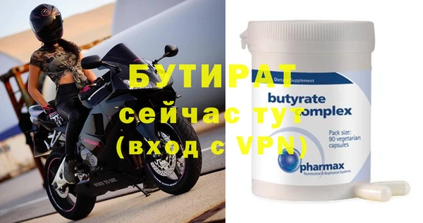 индика Краснослободск