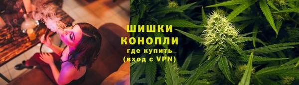 индика Краснослободск