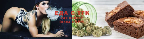 индика Краснослободск