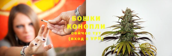 индика Краснослободск