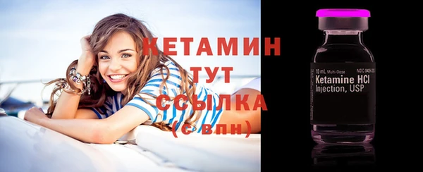индика Краснослободск