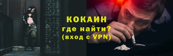 индика Краснослободск