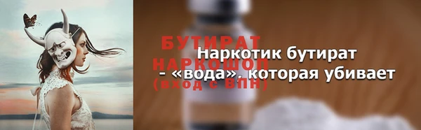 индика Краснослободск