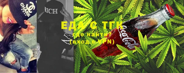 индика Краснослободск