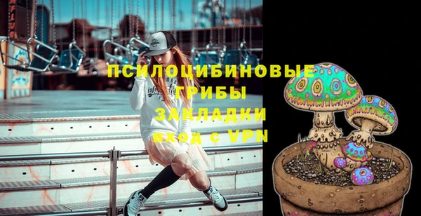 индика Краснослободск