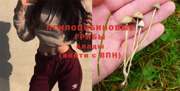 ГАЛЛЮЦИНОГЕННЫЕ ГРИБЫ Красноперекопск
