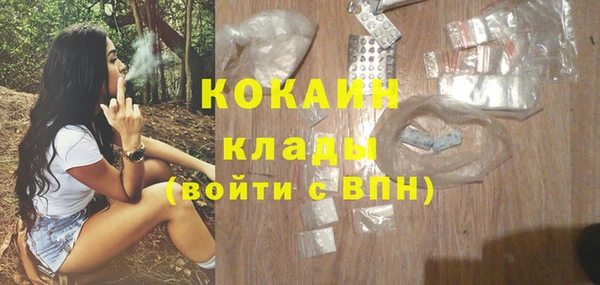 индика Краснослободск
