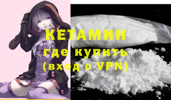 индика Краснослободск