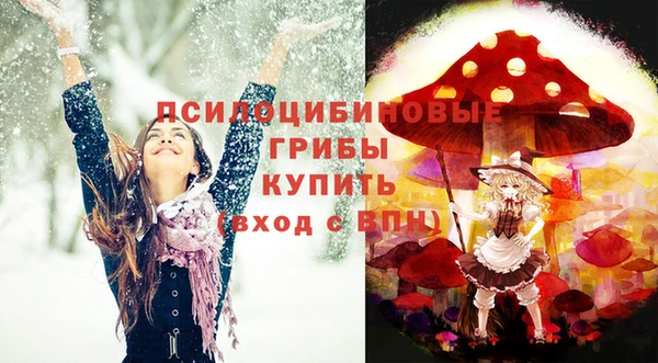 ГАЛЛЮЦИНОГЕННЫЕ ГРИБЫ Красноперекопск