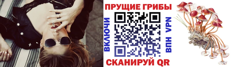 Псилоцибиновые грибы мицелий  Лесозаводск 